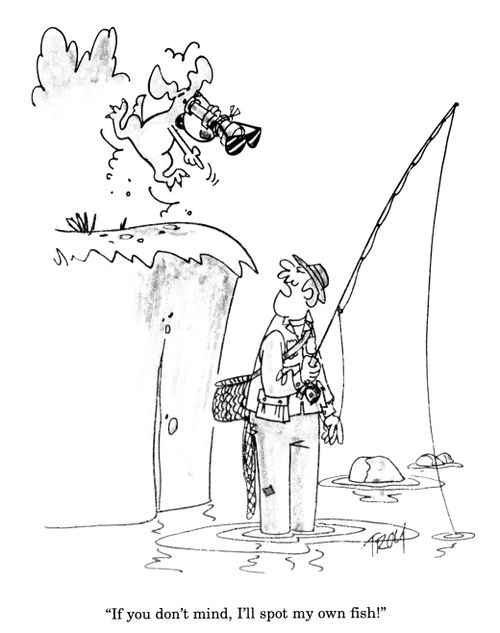 'If you don't mind, I'll spot my own fish!'