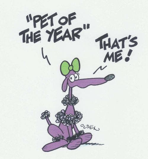 ''Pet of the Year', That's me!'