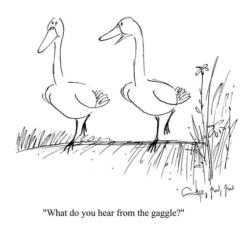 'What do you hear from the gaggle?'