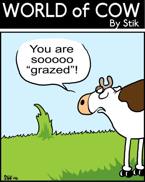 "You are sooooo 'grazed!'"