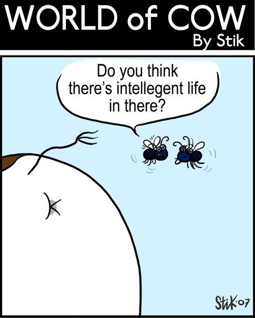 "Do you think there's intellegent life in there?"