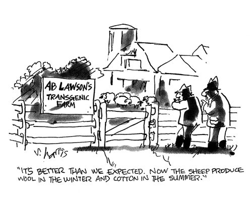 'It's better than we expected.  Now the sheep produce wool in the winter and cotton in the summer.'