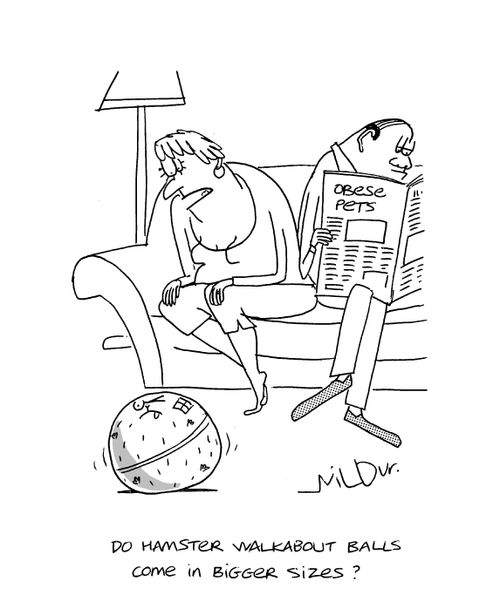 'Do Hamster Walkabout balls come in bigger sizes?'