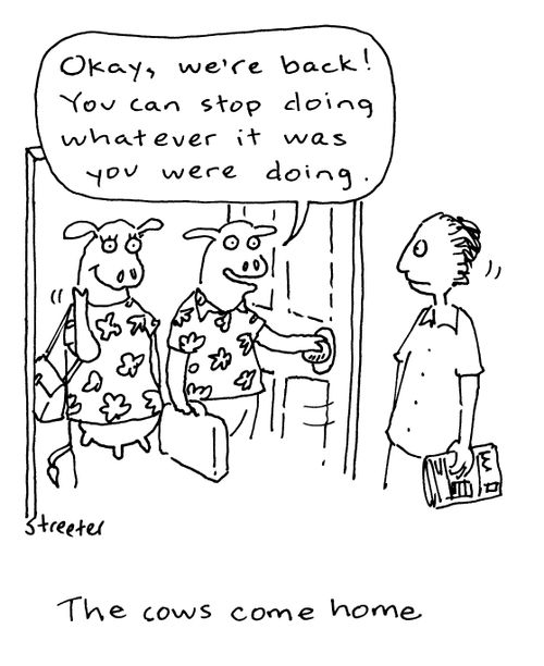 The cows come home.
