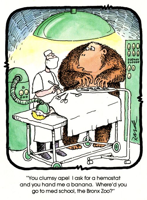 'You clumsy ape! I ask for  a hemostat and you hand me a banana. Where'd you go to med school, the Bronx Zoo?'