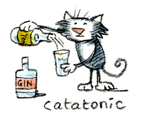 A cat pours himself a gin and tonic.