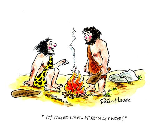 'It's called fire - it recycles wood!'