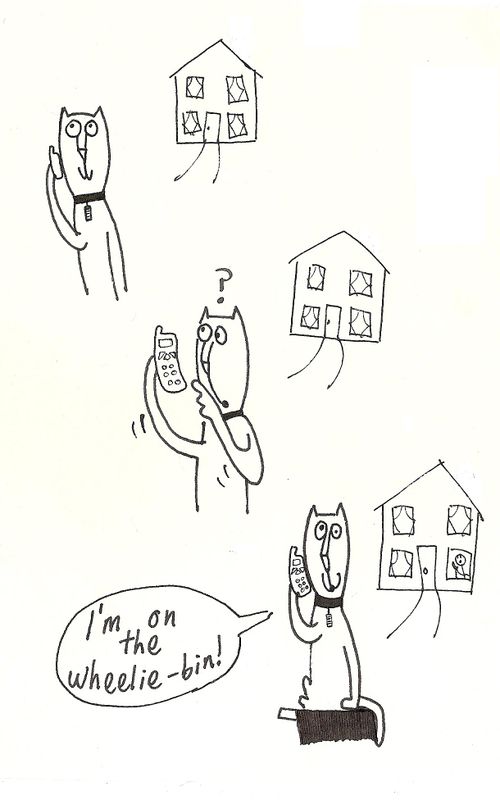 Cat speaking into mobile phone: 'I'm on the Wheelie Bin!'