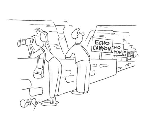 'Sightseer at scenic overlook sees many 'Echo Canyon' signs trailing across the canyon.'
