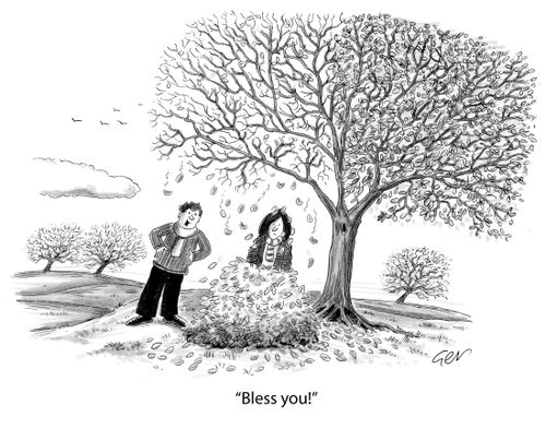'Bless you!'
