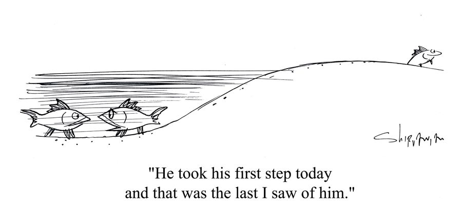 'He took his first step today and that was the last I saw of him.'