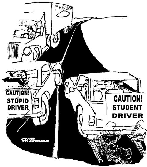 Caution! Stupid driver!