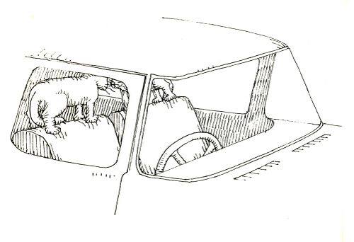 101 uses of a dead cat: headrests