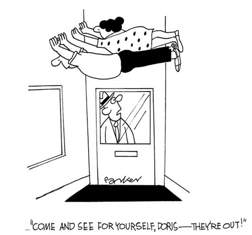 'Come and see for yourself,Doris-they're out!'