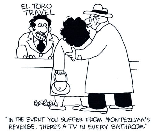 'In the event you suffer from Montezuma's Revenge, there's a TV in every bathroom.'