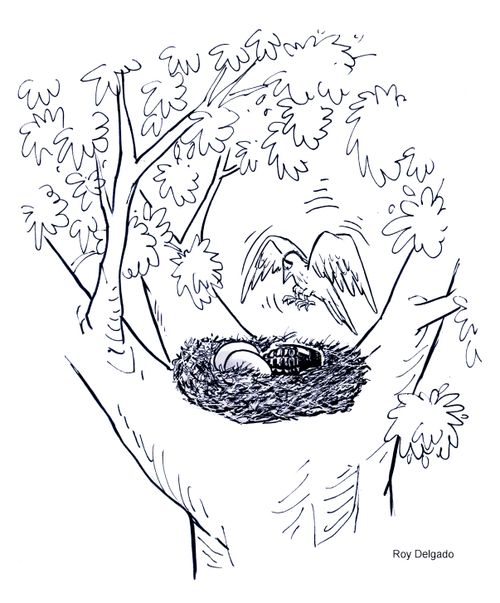 Bird finds a grenade in the its nest.