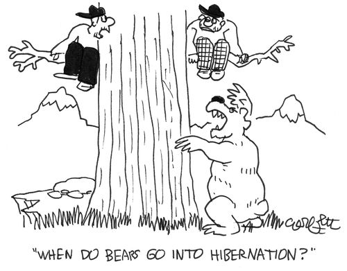 "When do bears go into hibernation?"