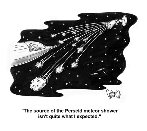 'The source of the Perseid meteor shower isn't quite what I expected.'