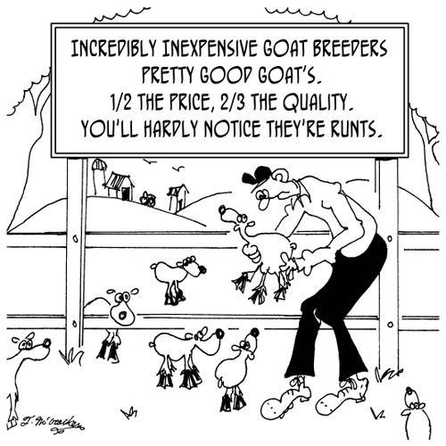 Incredibly Inexpensive Goat Breeders Pretty Good Goat's. Half the price, 2/3 the quality. You'll hardly notice they're runts.