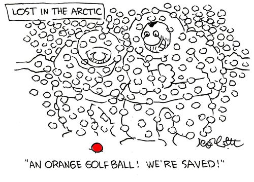 Lost in the Arctic...