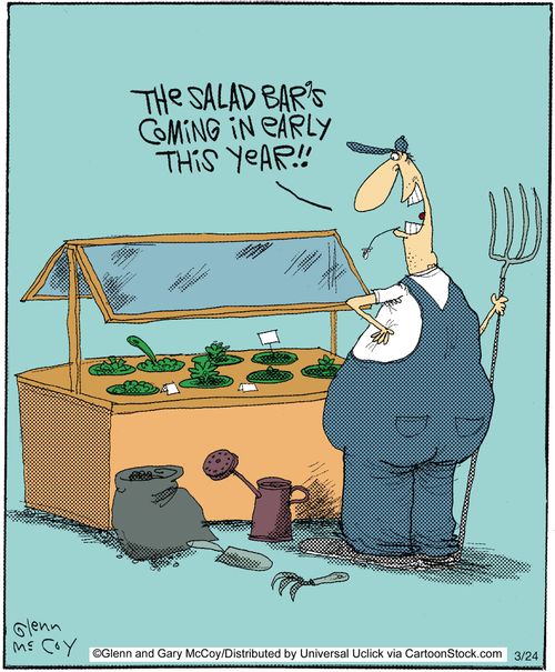 'The salad bar's coming in early this year!!'