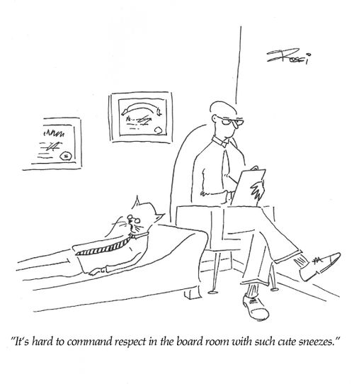 'It's hard to command respect in the boardroom with such cute sneezes.'