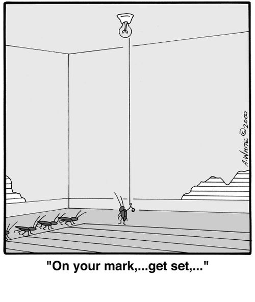 'On your mark,...get set,...'