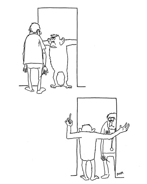 Power Struggle Between Vet and Chimp.