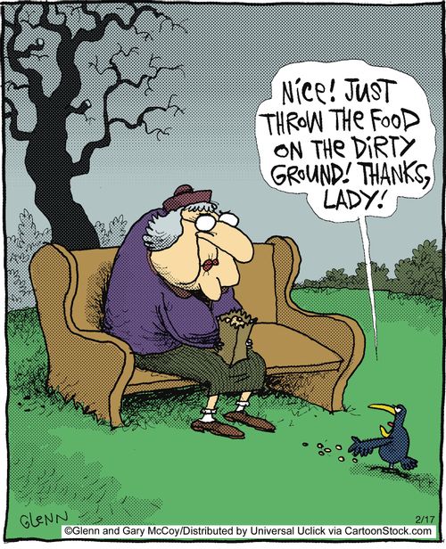 'Nice! Just throw the food on the dirty ground! Thanks, Lady!'