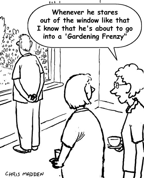 'Whenever he stares out the window like that I know he's about to go into a gardening frenzy.'