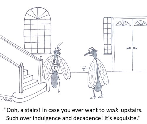 'Ooh, a stairs! In case you ever want to walk upstairs. Such over indulgence and decadence! It's exquisite.'