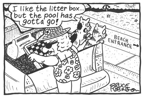 'I like the litter box...but the pool has gotta go !'