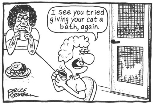 'I see you tried giving your cat a bath, again.'