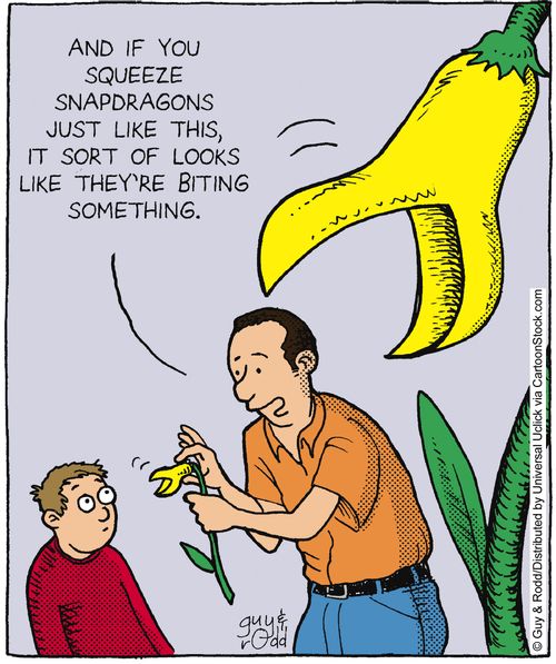 'And if you squeeze snapdragons just like this, it sort of looks like they're biting something.'