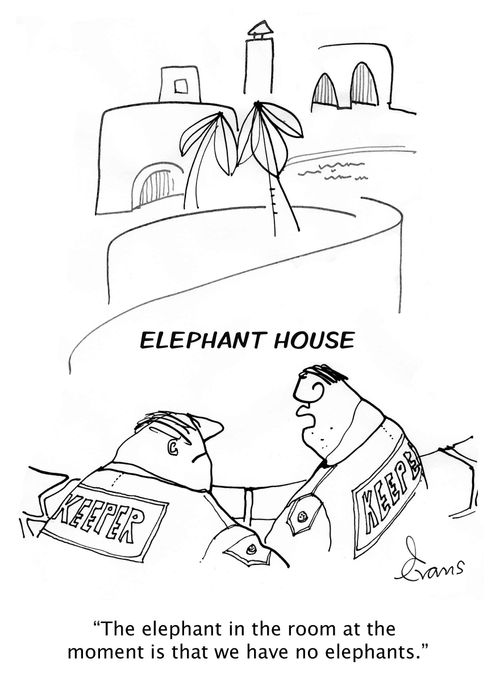 'The elephant in the room at the moment is that we have no elephants.'