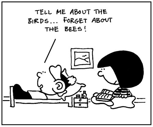 'Tell me about the birds, Forget about the bees,'
