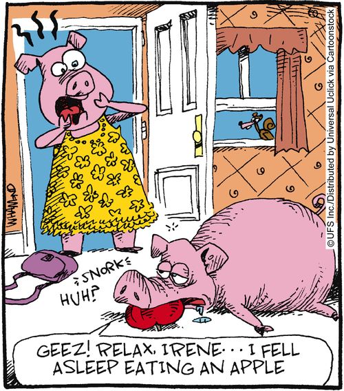 'Geez! Relax, Irene... I fell asleep eating an apple.'