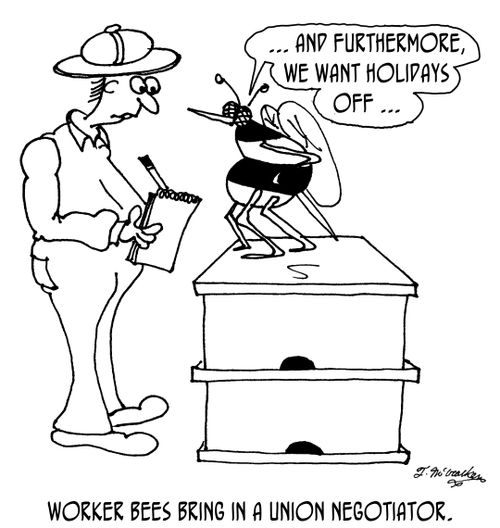 Worker Bees bring in a union negotiator.