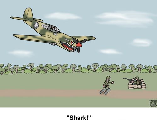 'Shark!'