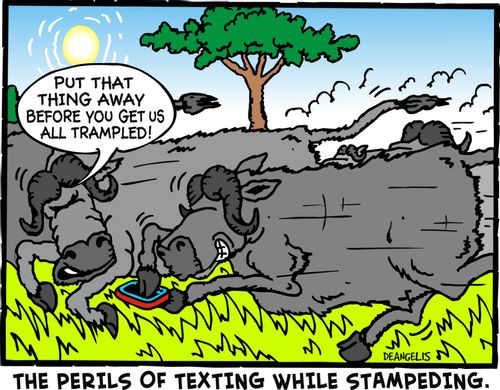 The perils of texting while stampeding.