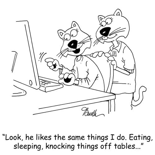 'Look, he likes the same things I do. Eating, sleeping, knocking things off tables...'