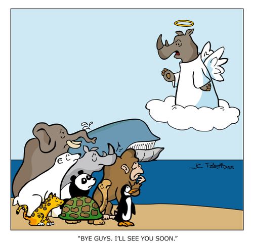 The Western Black Rhino is now extinct: 'Bye guys. I'll see you soon.'