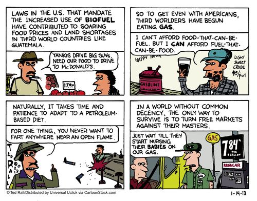 'Laws in the U.S. that mandate the increased use of biofuel have contributed to soaring food prices and land shortages in third world countries like Guatemala.'