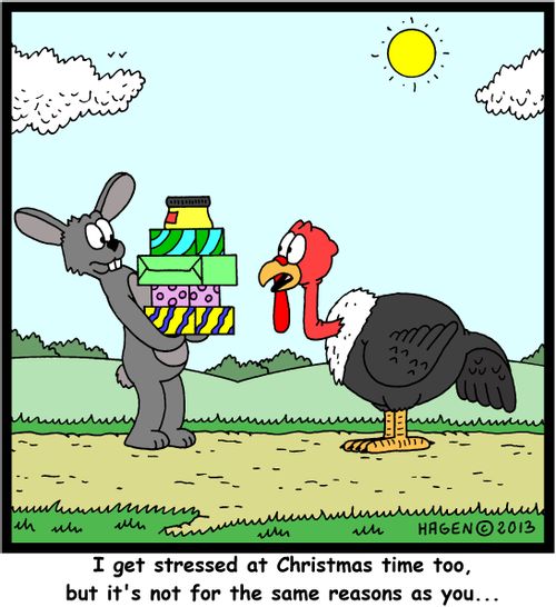 'I get stressed at Christmas time too, but it's not for the same reasons as you...'