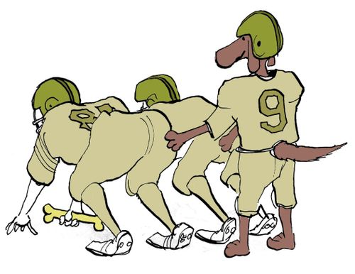 Dog football