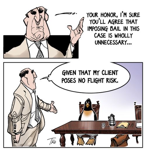 'Your Honor, I'm sure you'll agree that imposing bail in this case is wholly unnecessary, given that my client poses no flight risk.'