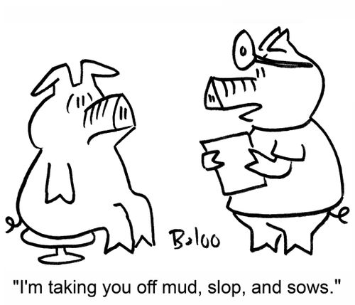 'I'm taking you off mud, slop, and sows.'