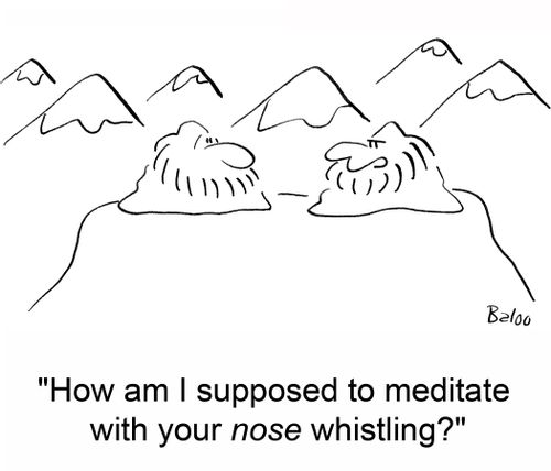 'How am I supposed to meditate with your nose whistling?'