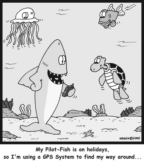 'My Pilot-Fish is on holidays, so I'm using a GPS System to find my way around...'