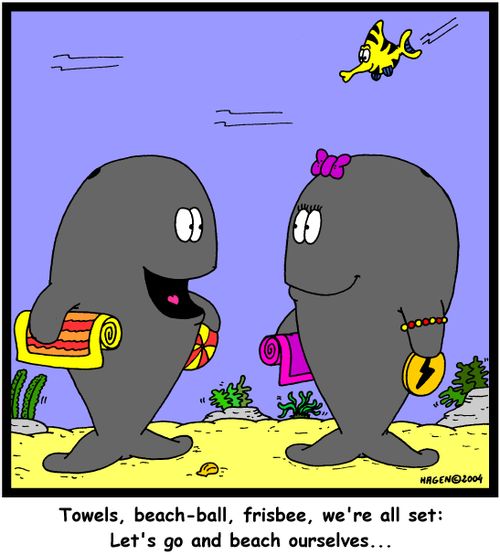 'Towels, beach-ball, frisbee, we're all set: Let's go and beach ourselves...'